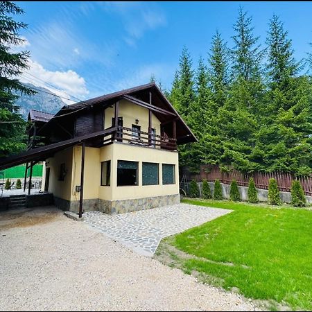 Ollie'S Mountain Chalet Buşteni Zewnętrze zdjęcie