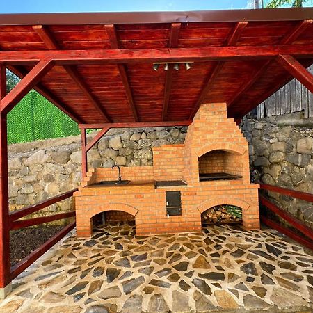 Ollie'S Mountain Chalet Buşteni Zewnętrze zdjęcie