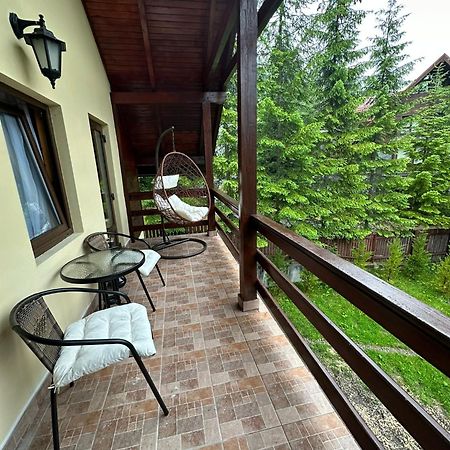 Ollie'S Mountain Chalet Buşteni Zewnętrze zdjęcie