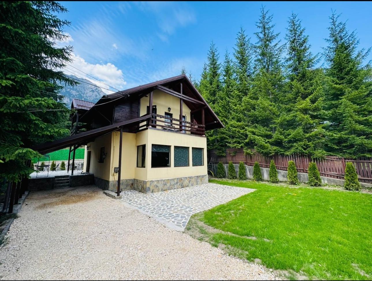 Ollie'S Mountain Chalet Buşteni Zewnętrze zdjęcie