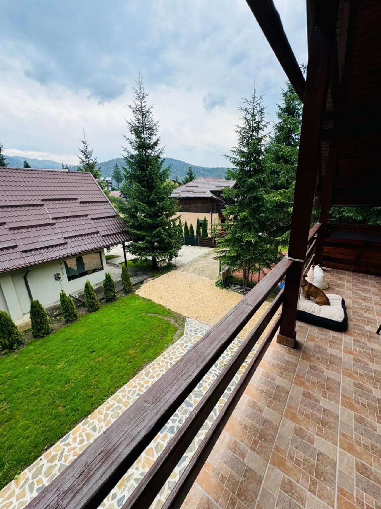 Ollie'S Mountain Chalet Buşteni Zewnętrze zdjęcie