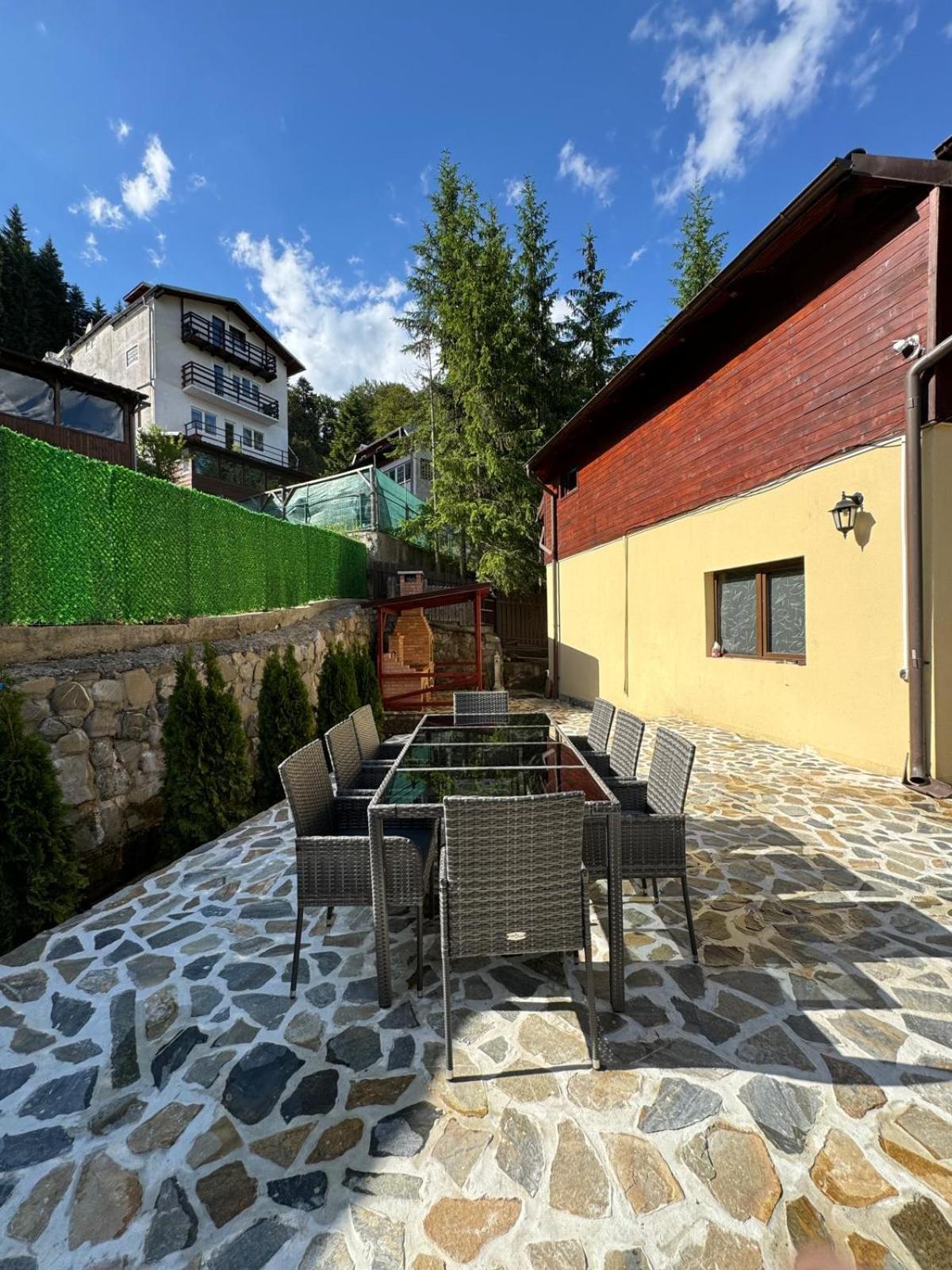 Ollie'S Mountain Chalet Buşteni Zewnętrze zdjęcie