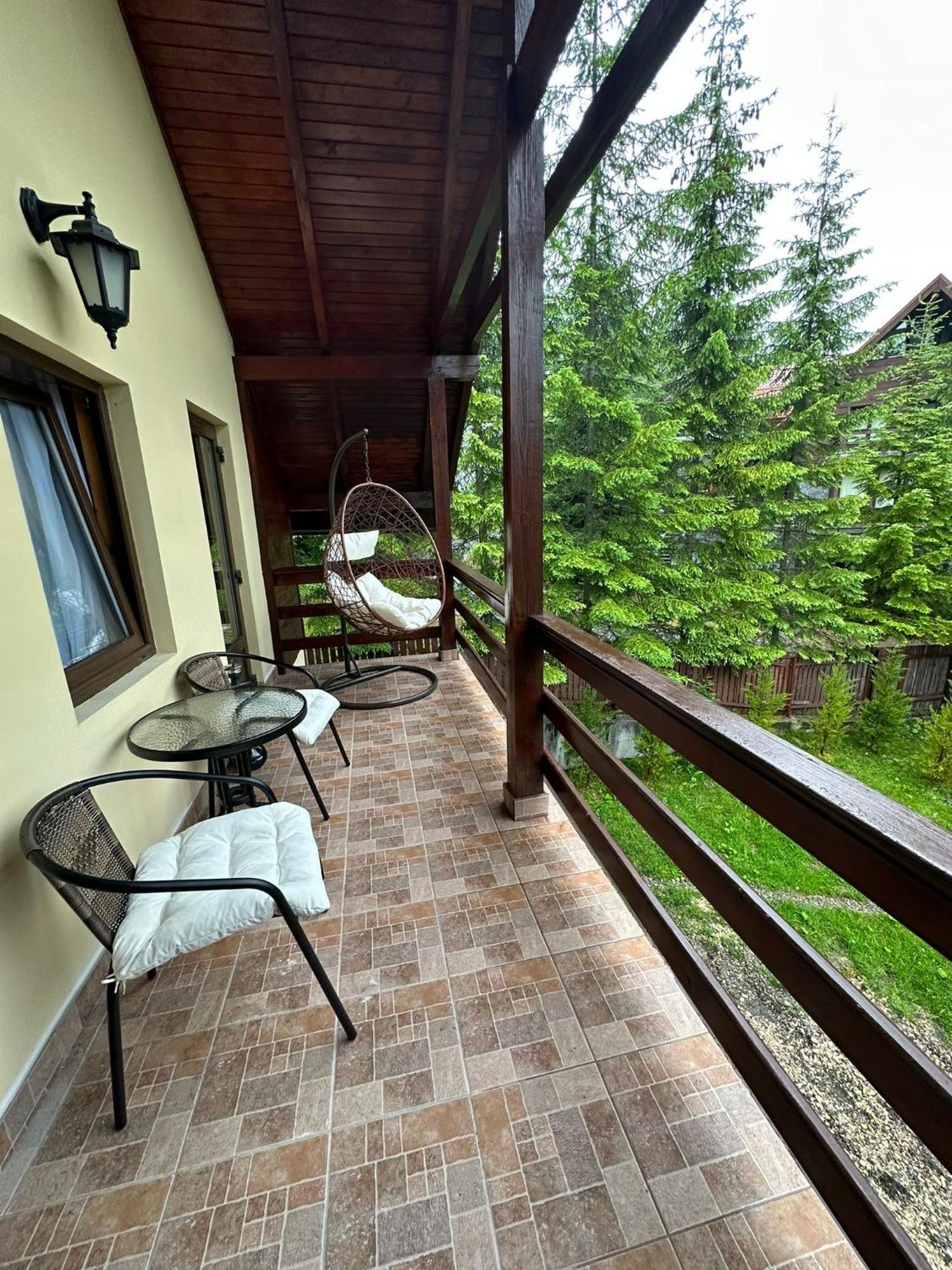 Ollie'S Mountain Chalet Buşteni Zewnętrze zdjęcie