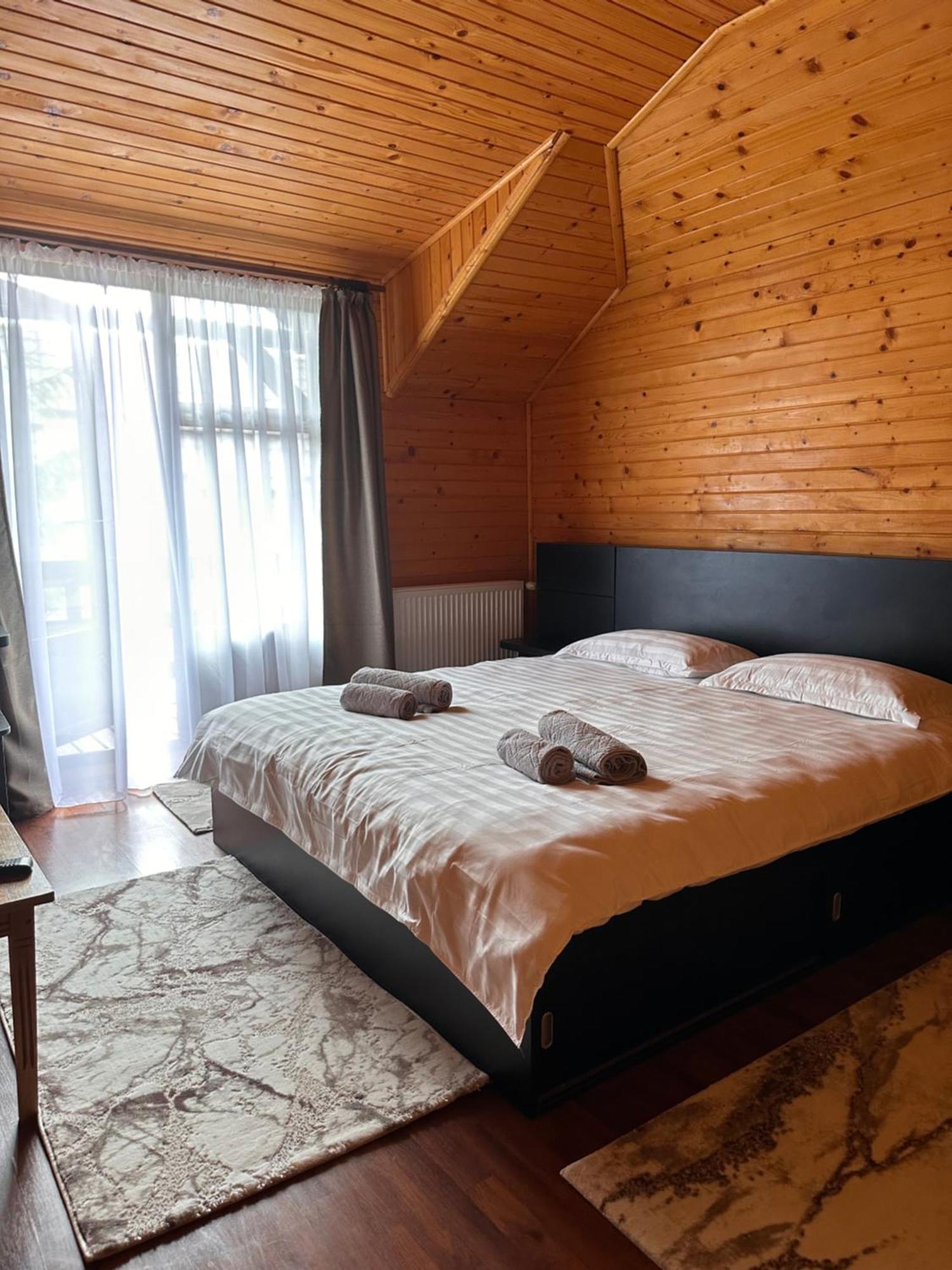 Ollie'S Mountain Chalet Buşteni Zewnętrze zdjęcie