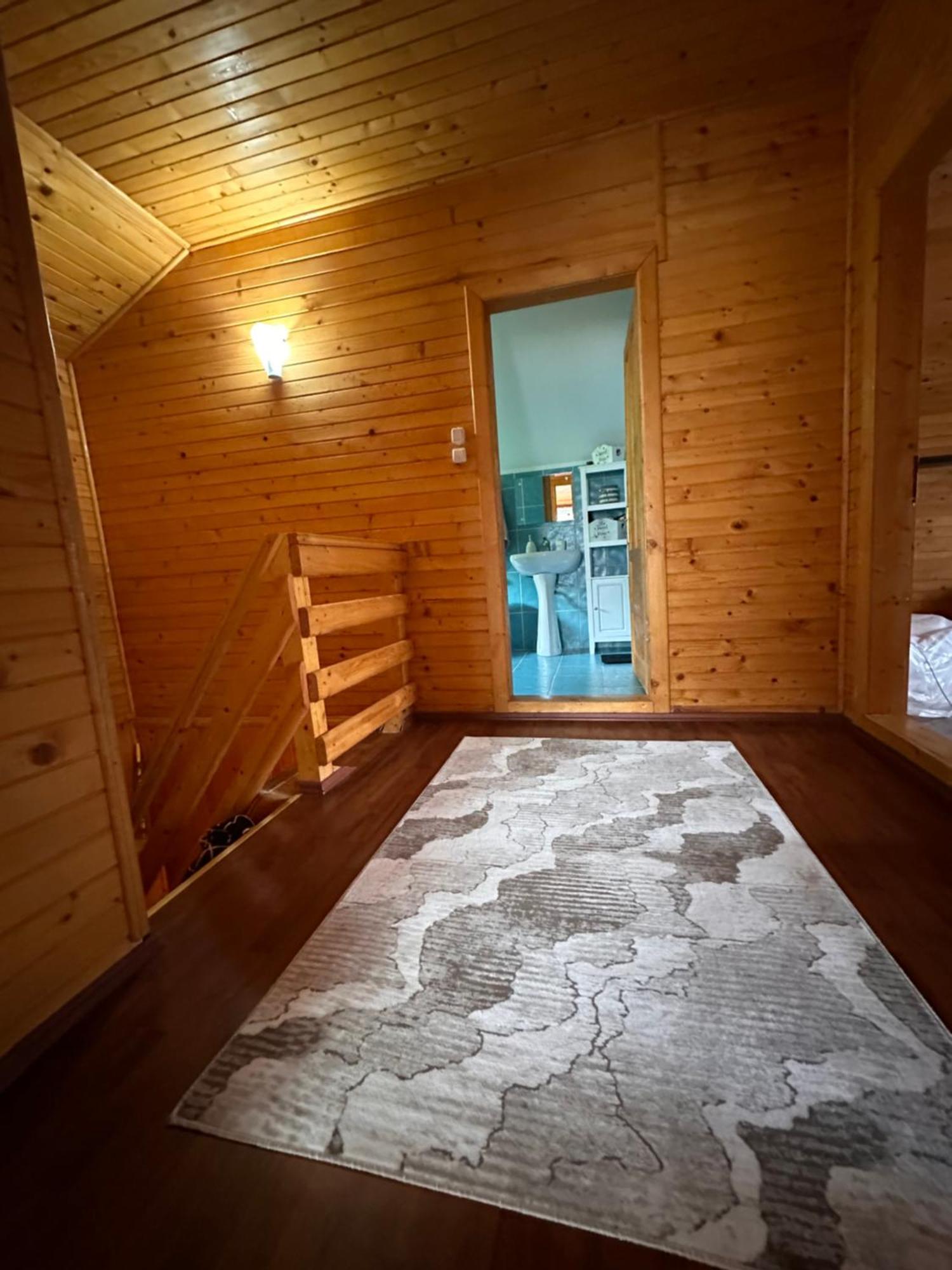 Ollie'S Mountain Chalet Buşteni Zewnętrze zdjęcie