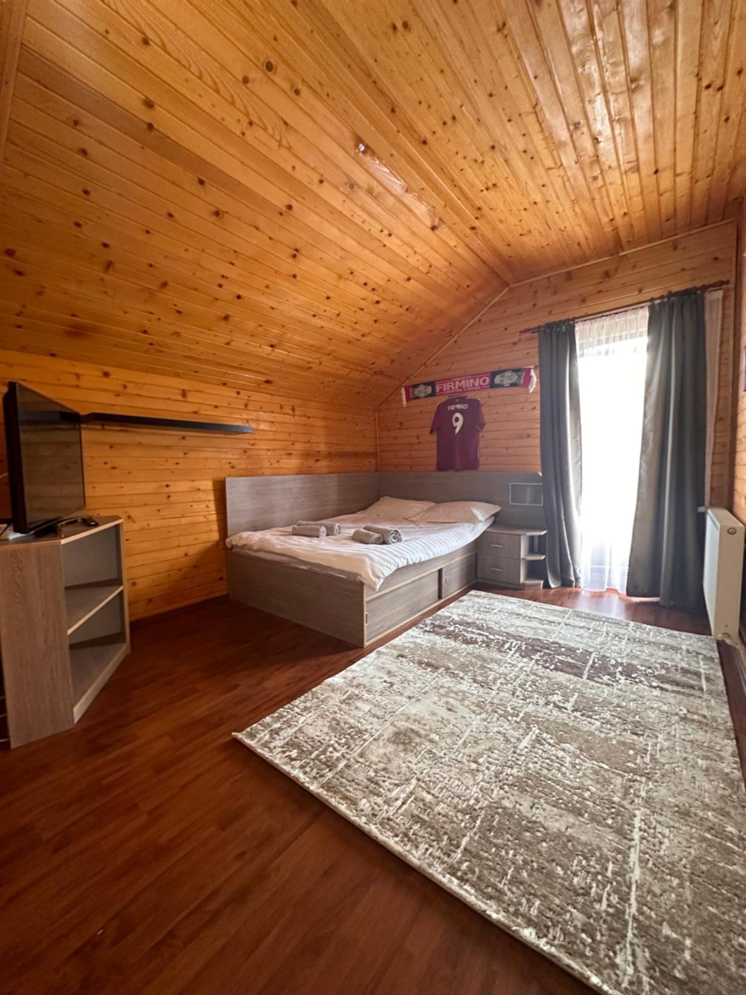 Ollie'S Mountain Chalet Buşteni Zewnętrze zdjęcie