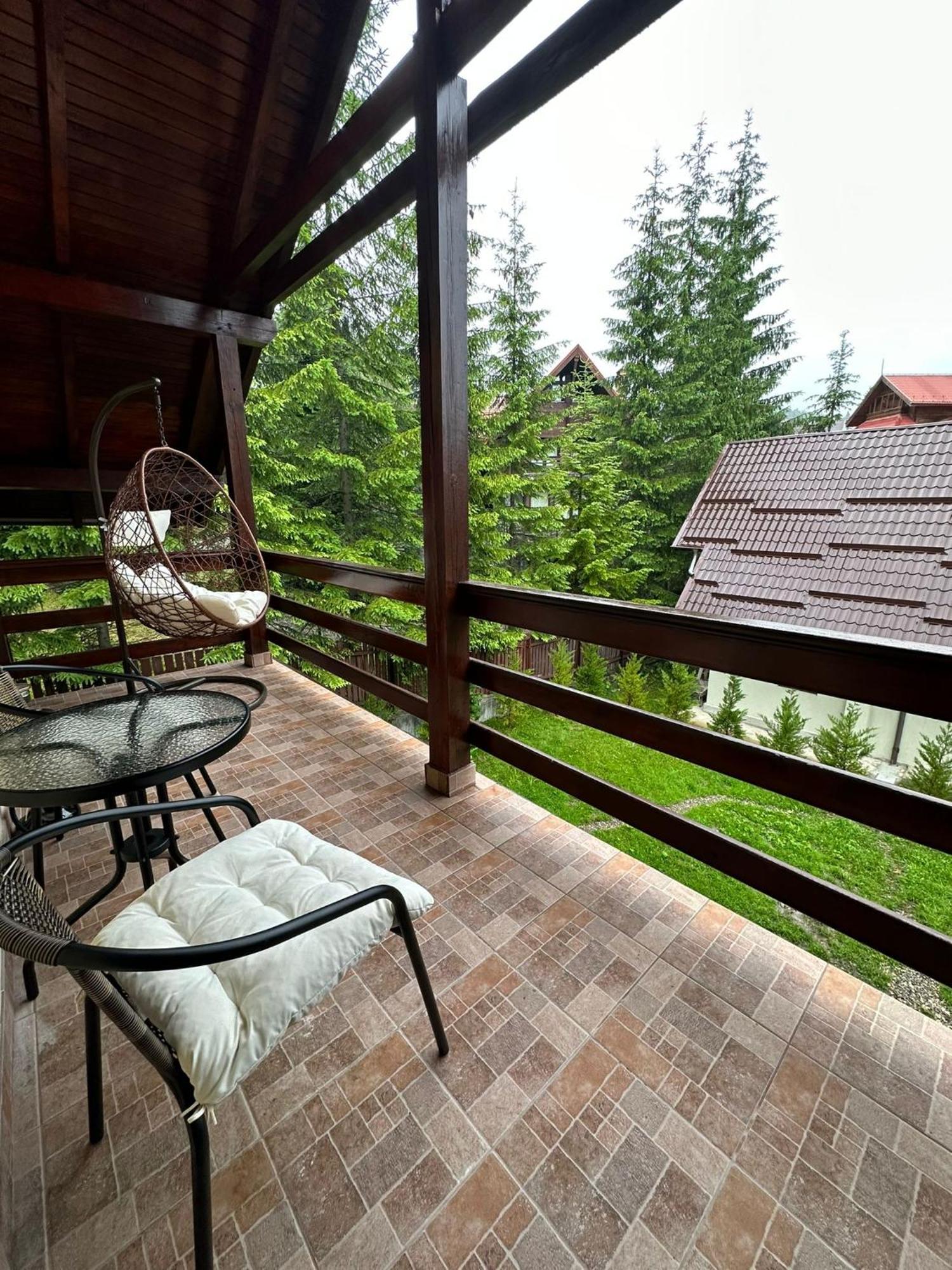 Ollie'S Mountain Chalet Buşteni Zewnętrze zdjęcie