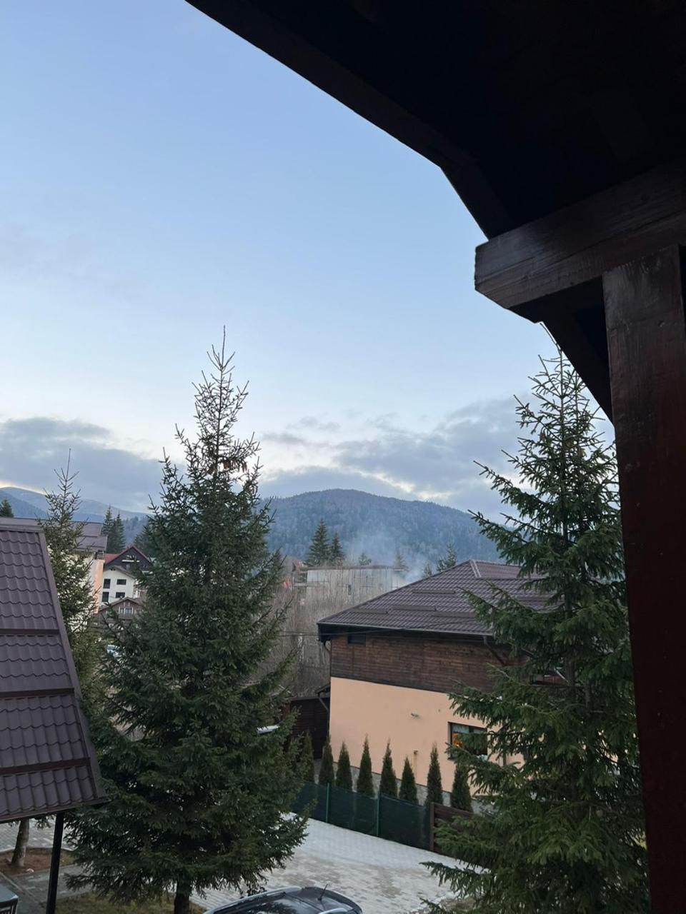 Ollie'S Mountain Chalet Buşteni Zewnętrze zdjęcie
